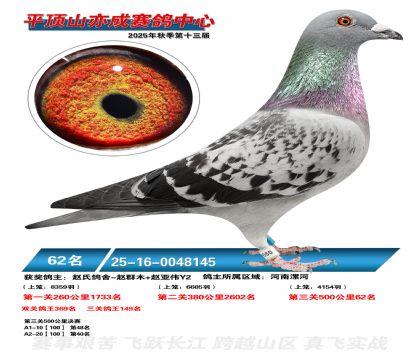 ƽ��ɽ��ɾ���62��