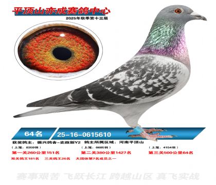 ƽ��ɽ��ɾ���64��