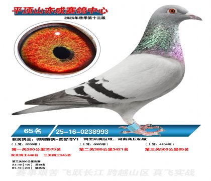 ƽ��ɽ��ɾ���65��