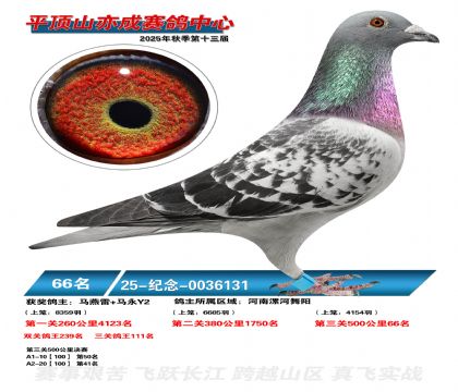 ƽ��ɽ��ɾ���66��