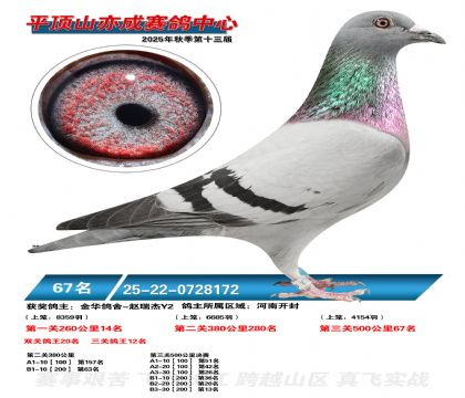 ƽ��ɽ��ɾ���67��