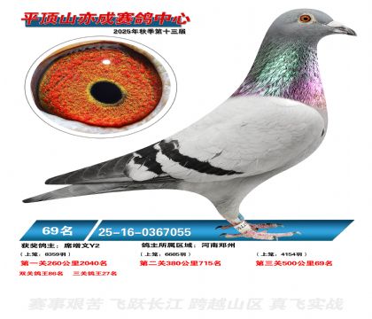 ƽ��ɽ��ɾ���69��