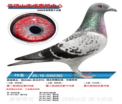 ƽ��ɽ��ɾ���70��