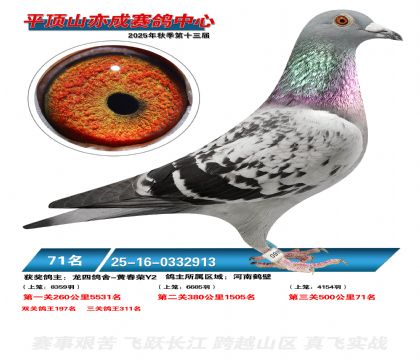 ƽ��ɽ��ɾ���71��