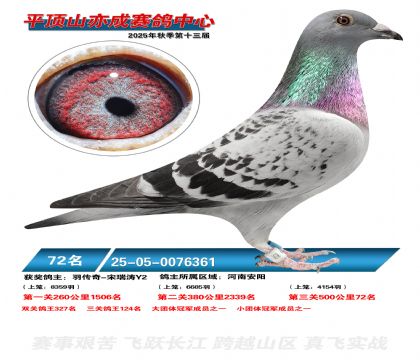 ƽ��ɽ��ɾ���72��