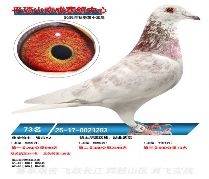 ƽ��ɽ��ɾ���73��