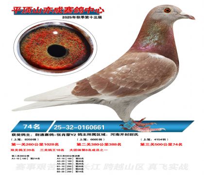 ƽ��ɽ��ɾ���74��