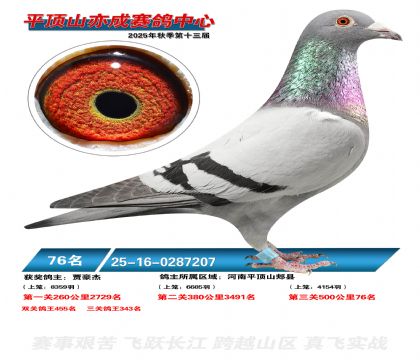 ƽ��ɽ��ɾ���76��