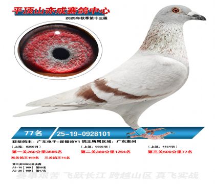 ƽ��ɽ��ɾ���77��