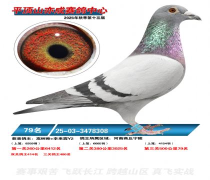 ƽ��ɽ��ɾ���79��