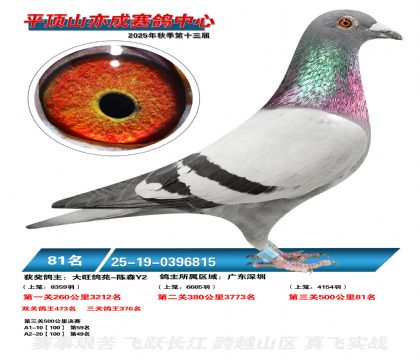 ƽ��ɽ��ɾ���81��