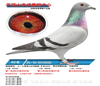 ƽ��ɽ��ɾ���82��