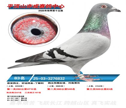 ƽ��ɽ��ɾ���83��