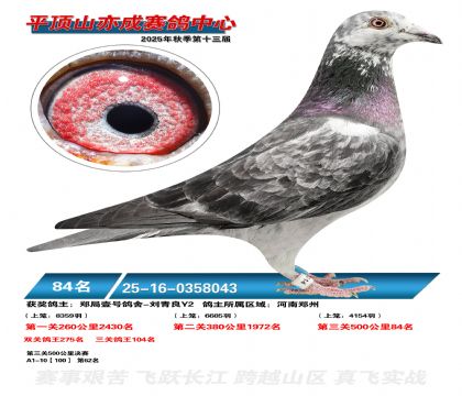 ƽ��ɽ��ɾ���84��