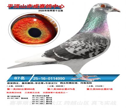 ƽ��ɽ��ɾ���87��