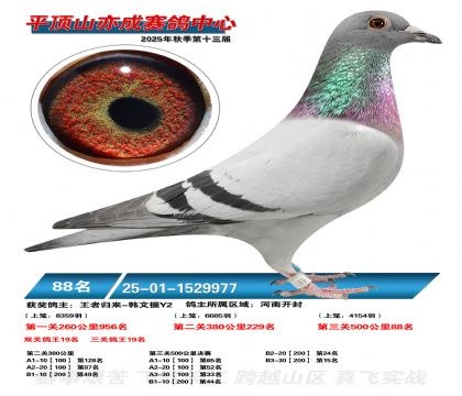 ƽ��ɽ��ɾ���88��