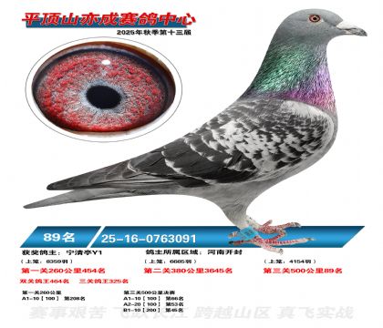 ƽ��ɽ��ɾ���89��