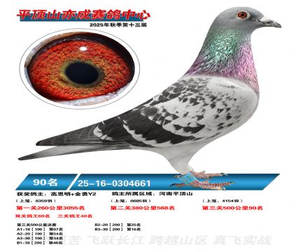 ƽ��ɽ��ɾ���90��