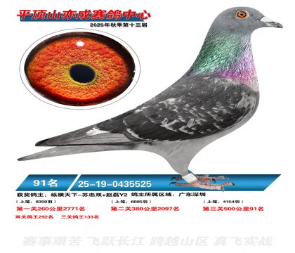 ƽ��ɽ��ɾ���91��