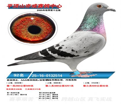 ƽ��ɽ��ɾ���92��