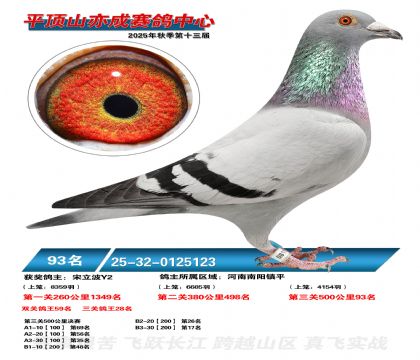 ƽ��ɽ��ɾ���93��