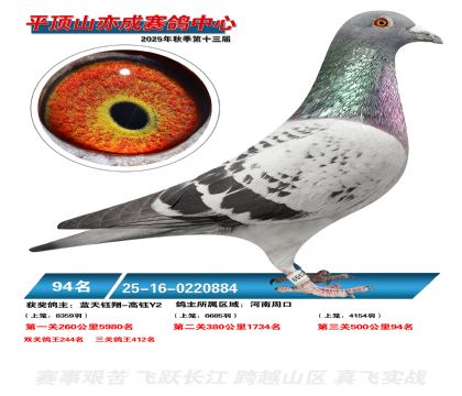 ƽ��ɽ��ɾ���94��