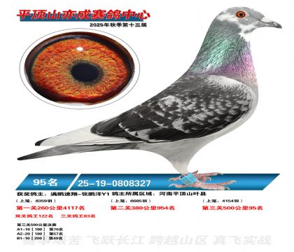 ƽ��ɽ��ɾ���95��