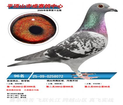 ƽ��ɽ��ɾ���96��