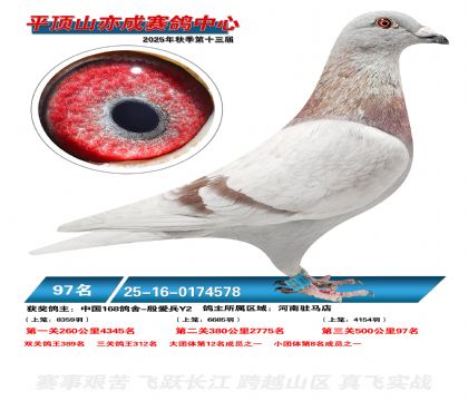 ƽ��ɽ��ɾ���97��