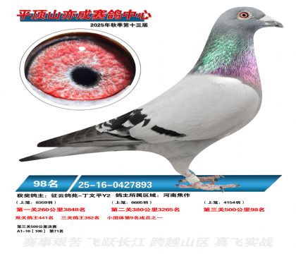 ƽ��ɽ��ɾ���98��