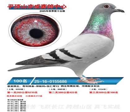 ƽ��ɽ��ɾ���100��