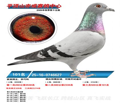 ƽ��ɽ��ɾ���101��