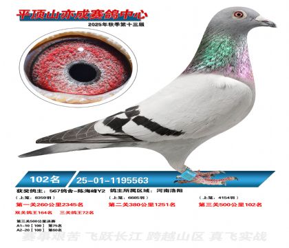 ƽ��ɽ��ɾ���102��