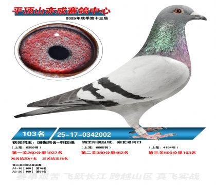 ƽ��ɽ��ɾ���103��