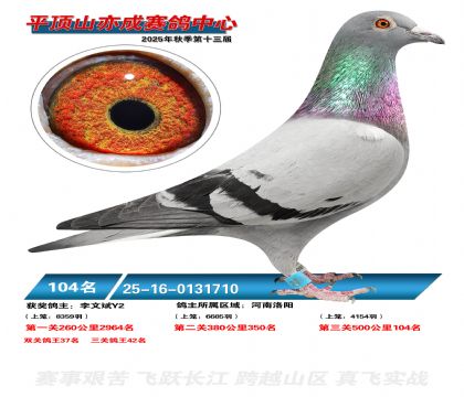 ƽ��ɽ��ɾ���104��