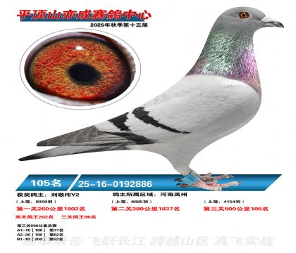 ƽ��ɽ��ɾ���105��