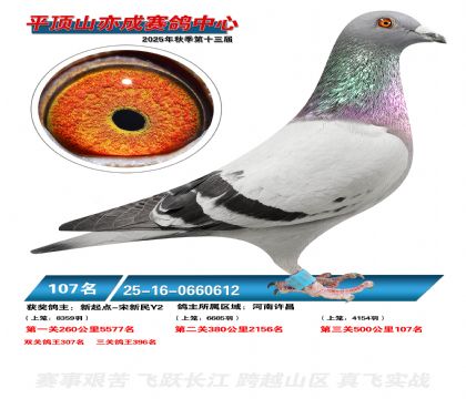 ƽ��ɽ��ɾ���107��