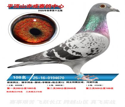 ƽ��ɽ��ɾ���108��