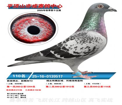 ƽ��ɽ��ɾ���110��