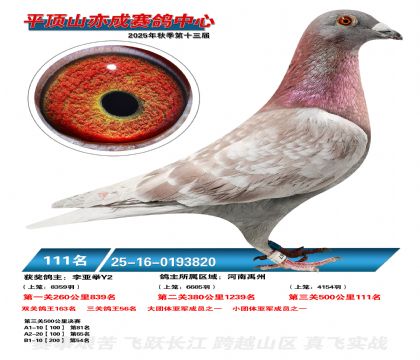 ƽ��ɽ��ɾ���111��