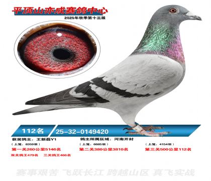 ƽ��ɽ��ɾ���112��