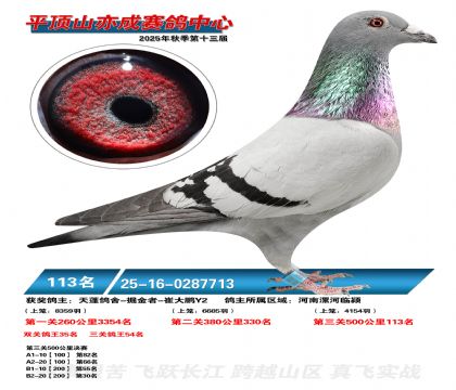 ƽ��ɽ��ɾ���113��