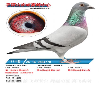 ƽ��ɽ��ɾ���114��