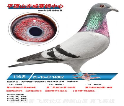 ƽ��ɽ��ɾ���116��