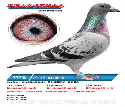 ƽ��ɽ��ɾ���117��