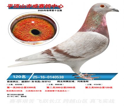 ƽ��ɽ��ɾ���120��