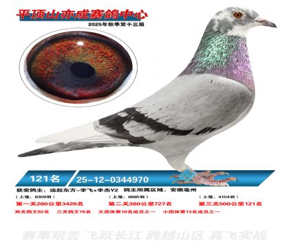 ƽ��ɽ��ɾ���121��