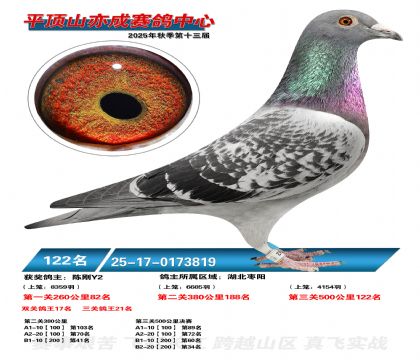 ƽ��ɽ��ɾ���122��