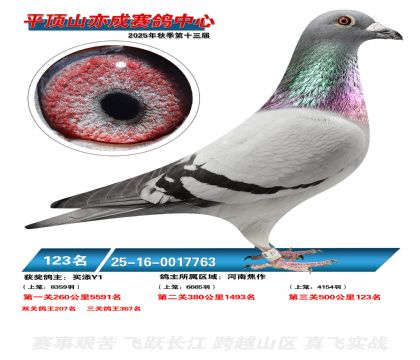 ƽ��ɽ��ɾ���123��