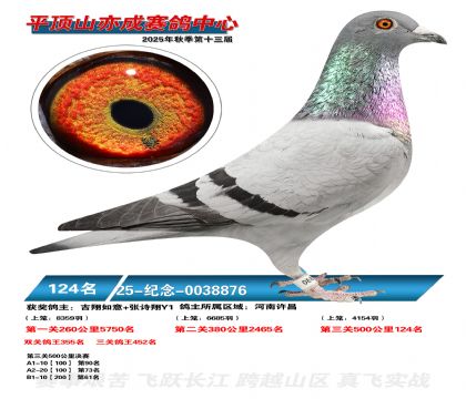 ƽ��ɽ��ɾ���124��